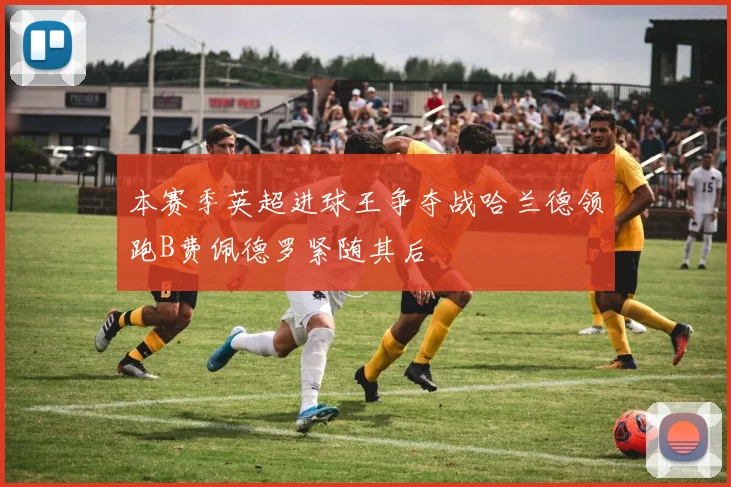 本赛季英超进球王争夺战哈兰德领跑B费佩德罗紧随其后